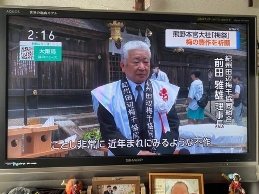 家電 テレビ 液晶テレビ