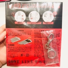 aiko【パスケース】完売品/レアグッズ/未開封/未使用の画像