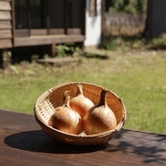 新玉ねぎ「七宝」の画像