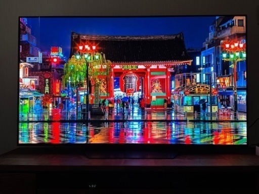 LG OLED 55B1PJA 55インチテレビ