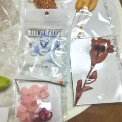 さらに値下げ☆ハーバリウム材料☆花材、ピンセット、オイル!の画像