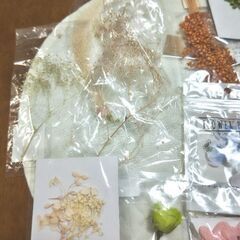さらに値下げ☆ハーバリウム材料☆花材、ピンセット、オイル!の画像