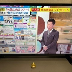 家電 テレビ 液晶テレビ