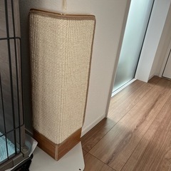 猫 爪とぎ   の画像