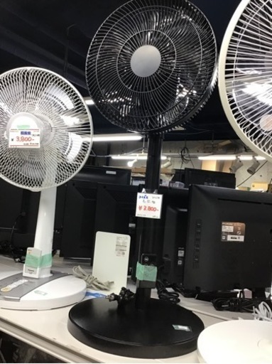 ●販売終了●コイズミ　扇風機　2023年製　リモコン付　中古品