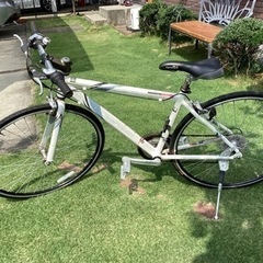 お話中、自転車 クロスバイクの画像