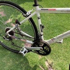 お話中、自転車 クロスバイクの画像