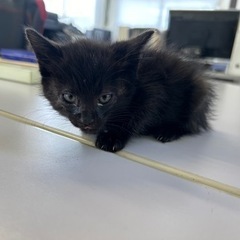 あなたの事を探してます！