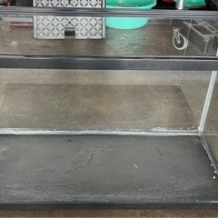 水槽　金魚　熱帯魚　　アクアリウム