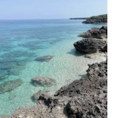 １４日午後１４時〜１５時ころ浜比嘉、宮城島下見行ける方いませんか？？