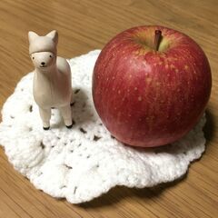 空き家の管理致します。