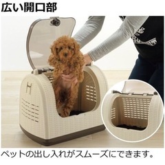 新品未使用　リッチェル キャリーケース ラタンキャリー アイボリー 猫の画像