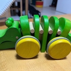ダンシングアリゲーターの画像