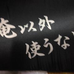 俺専用まくらの画像