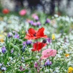 【あと一名無料✨個別相談】あなたの経験を活かす人助け起業始めませんか😊