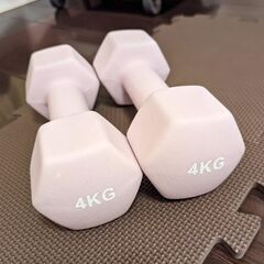 ダンベル４㎏×２個 新品未使用 ライラックアッシュ