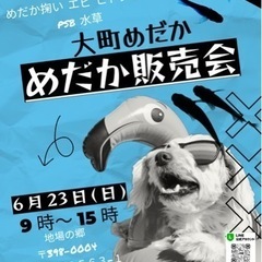 6月23日 めだか販売会