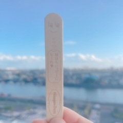 江戸川区