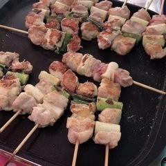 琵琶湖でウェイクボートしませんか？ - イベント