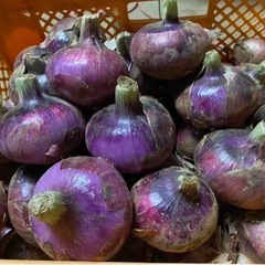 赤玉ねぎ