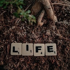 死んだらどうなると考えたことがありますか？ - チャット