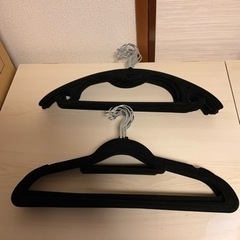 生活雑貨 洗濯用品 ハンガー 2種類 計20本