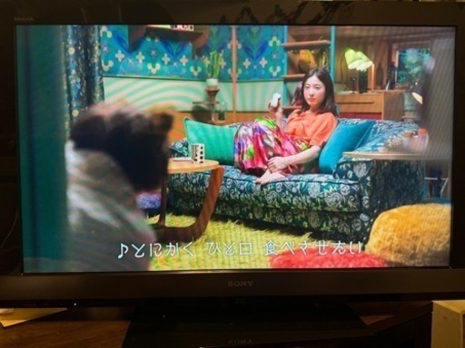 家電 テレビ 液晶テレビ