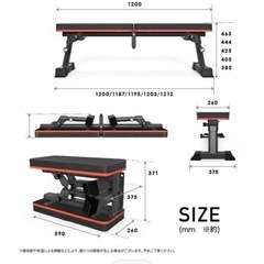 スポーツ フィットネス、トレーニング