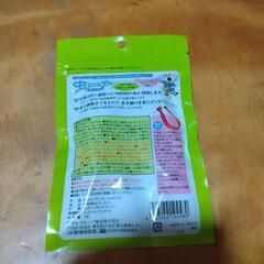 虫きちゃダメ　ブレスレットタイプの画像