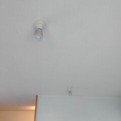 【6/24以降引渡】の画像