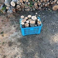 生活雑貨 家庭用品 ガーデニング