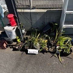 生活雑貨 家庭用品 ガーデニング