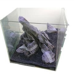 【ADA】龍王石 30㎝水槽レイアウト素材セット＆エナジーソイル（取りに来られる方限定）の画像