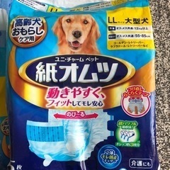 またまた値下げ　大型犬用　紙オムツ　マナーウエア7枚の画像