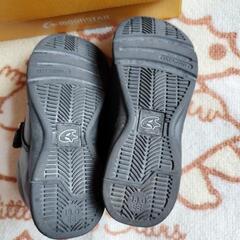 ムーンスター18.0cmの画像