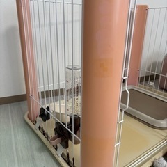 ペット用品一式の画像