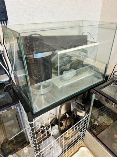 GEX 60センチ水槽セット