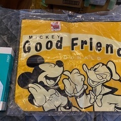 ディズニービッグトートバッグ