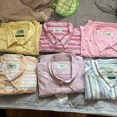crocodileメンズＹシャツ