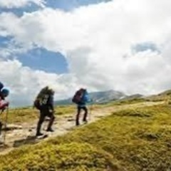 山登り好きな人いませんか？