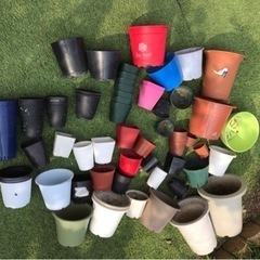 植木鉢(プラスチック)