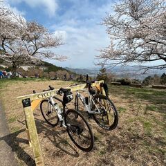 ロードバイクチーム仲間募集