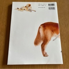 イラストでみる犬学の画像