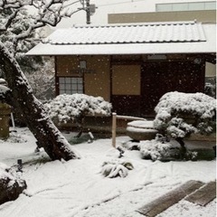 渋谷　茶道教室　表千家の画像