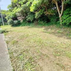 畑始めてみませんか?