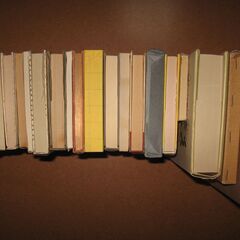 商談中！文学 ほるぷ等復刻本【１９冊】セット☆夏目漱石 芥川龍之介 永井荷風 他/待合せ手渡しのみの画像