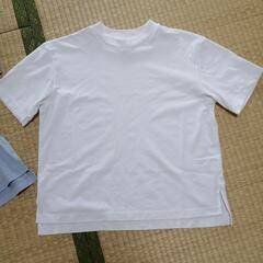 ユニクロTシャツ　Mサイズ　レディースの画像