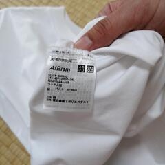 ユニクロTシャツ　Mサイズ　レディースの画像