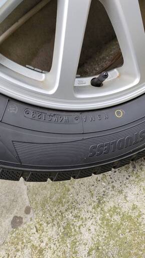 トーヨータイヤ ウィンタートランパス TX 205/65R16 95Q (バリ山) 
