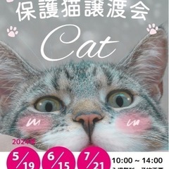 足立山麓あおぞら保護猫譲渡会